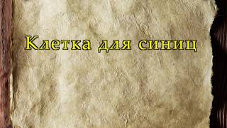 Клетка для синицы (лат. Parus major) Клетка для синицы (лат. Parus major)