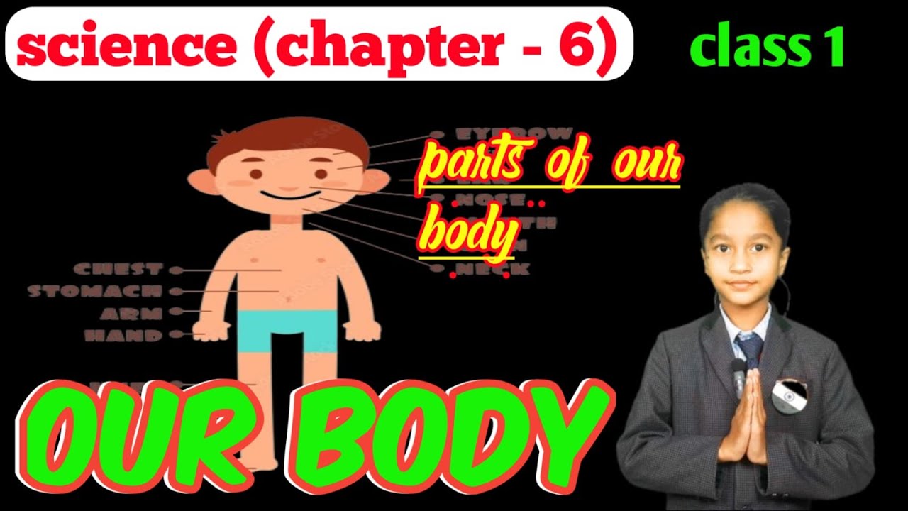science chapter 6 our body class 1 sense organs kitne hote hai