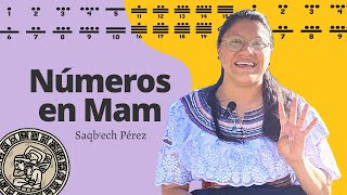 Números en Maya Mam | Sistema de Numeración Maya