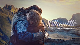 Bilbo & Thorin || We've become echoes