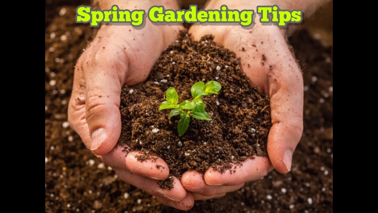 Spring Gardening Tips - YouTube