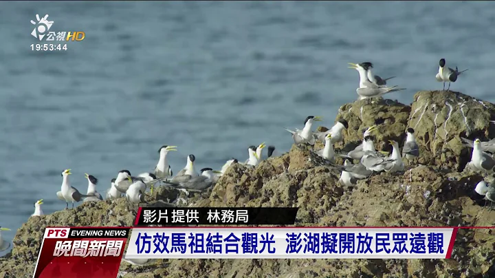 」神話之鳥」黑嘴端鳳頭燕鷗　遷徙之謎解開 20170712公視晚間新聞 - 天天要聞