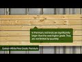 A Video Guide to All 5 Grades of Eastern White Pine A Video Guide to All 5 Grades of Eastern White Pine