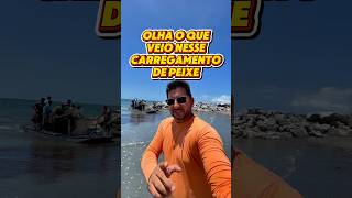Olha o que veio nesse carregamento de peixe ￼