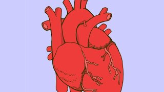 CLASSIFICATION OF BP IN ADULT AS PER JNC CRITERIA BY: krupali lodhari