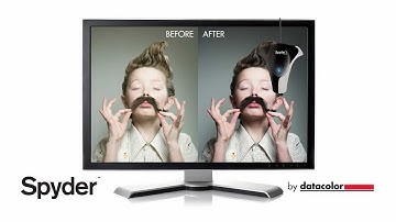 Datacolor SpyderGallery - Learn About Color