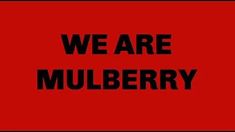 MULBERRY FAVORITES