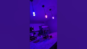 A19 Smart Light Bulbs with Alexa, Google Assistant and Smart Life