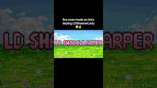 #larp #LDShadowLady #Minecraft #youtuber #larping #larptube #larptuber