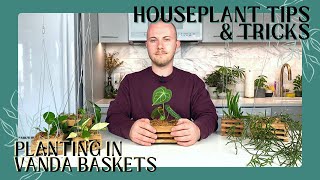 Planting Epiphytic Houseplants In Vanda Baskets | Houseplant Tips & Tricks Ep. 9
Thank you to rePotme for sponsoring this series! Use code NICK to save 10% on any potting mix:
https://www.repotme.com/?rfsn=6269544.b09b93
4 Vanda Basket:
https://www.repotme.com/products/vanda-basket-4?rfsn=6269544.b09b93&_pos=10&_sid=7d9cdd162&_ss=r
6 Vanda Basket:
https://www.repotme.com/products/vanda-basket-6-inch?rfsn=6269544.b09b93&_pos=7&_sid=7d9cdd162&_ss=r
Vanda Basket Hanger:
https://www.repotme.com/products/vanda-basket-hanger?rfsn=6269544.b09b93&_pos=1&_sid=7d9cdd162&_ss=r
Sphagnum moss:
https://www.repotme.com/products/new-zealand-sphagnum?rfsn=6269544.b09b93&_pos=1&_sid=3dd41e20c&_ss=r
Plants featured today:
Anthurium gracile
Anthurium clarinervium
Hoya carnosa Krimson Princess
Hoya australis
Brassocattleya Yellow Bird
Rhipsalis pilocarpa
Patreon: https://www.patreon.com/nickpileggi
TikTok: @phillyfoliage
Instagram: @phillyfoliage
#houseplanttipsandtricks #repotme #phillyfoliage Planting Epiphytic Houseplants In Vanda Baskets | Houseplant Tips & Tricks Ep. 9
