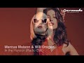 Marcus Maison & Will Dragen - In the Horizon (Radio Edit)