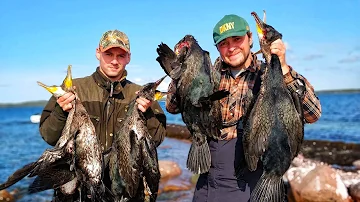 Does Cormorant taste good?