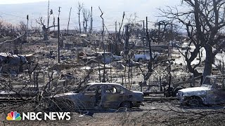 Hundreds still missing after deadly wildfires in Maui