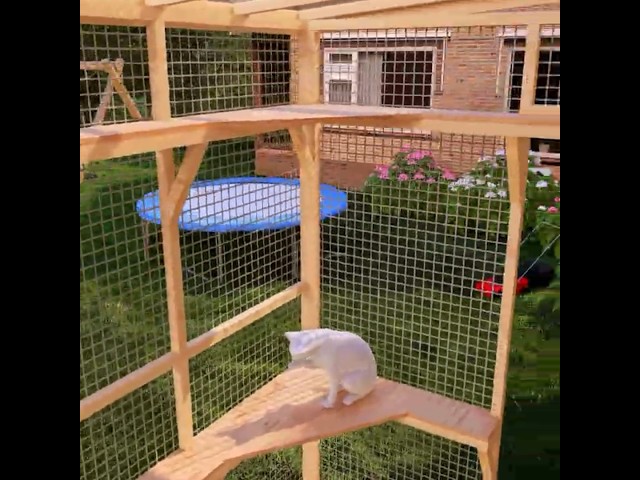 Easy DIY Catio Plans: Secure Outdoor Fun! 3 sddefault