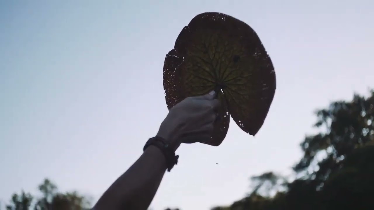 Vestido de noiva feito por @camilamachadoatelie para Lisa Aymara Lodge no Pantanal 💚🌱