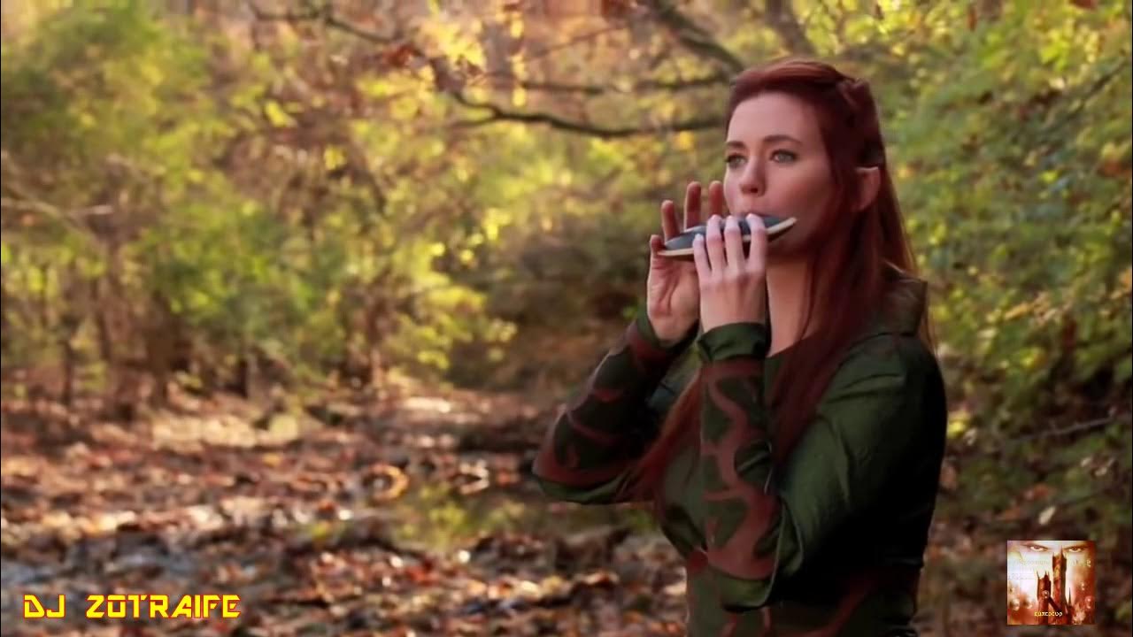 Песня гномов из хоббита. Hobbit misty mountains. Трек из хоббитов. Hobbit misty mountains. Торин дубощит король.