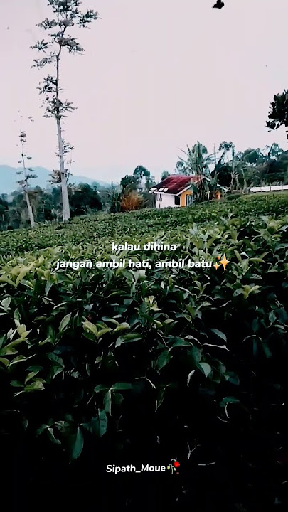Story Sore Hari 🌄 II STORY QUOTES WA VIRAL TERBARU II STORY QUOTES WA VIRAL ❗ #trending