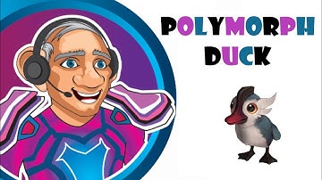 World of Warcraft (WoW) - Polymorph Duck