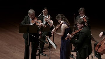 Vivaldi: Concerto in F major for Three Violins, Strings, and Continuo, RV 551, I. Allegro