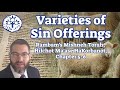 Varieties of Sin Offerings