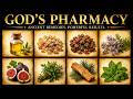 7 Biblical Plants That Support Your Health Naturally (Most People Ignore)