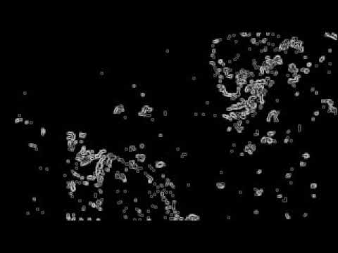 Edge detection on microscope images using Python and OpenCV - YouTube