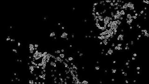 Edge detection on microscope images using Python and OpenCV
