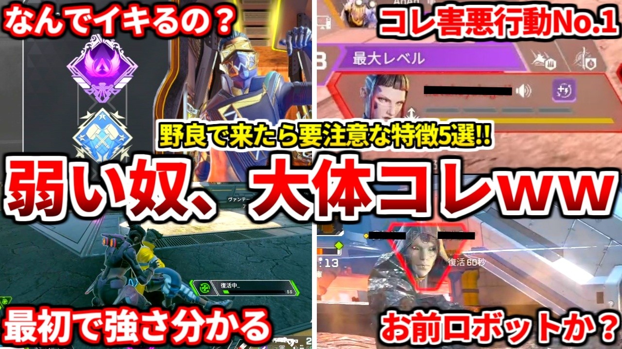 長年野良ランクプレイしてきた俺が野良で絶望するタイプの特徴話すわww当てはまる人はヤバいかも【APEX LEGENDS立ち回り解説】
