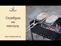 Скумбрия на мангале рецепт, Mackerel on the grill recipe