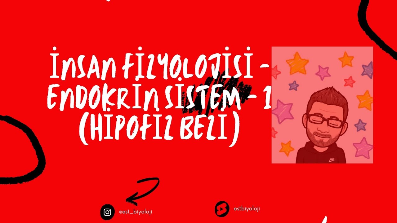 İnsan Fizyolojisi - Endokrin Sistem ( Hipofiz Bezi ) - 1
