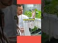 Biotech 5 patent getting ideas