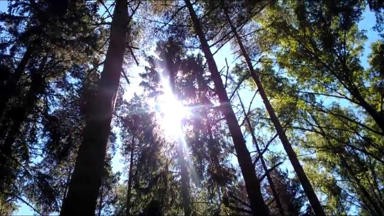 Nature & Running: Varberga Edition