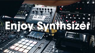 Enjoy Synthesizer,moog,TR-8s,DJS1000&DJM-V10