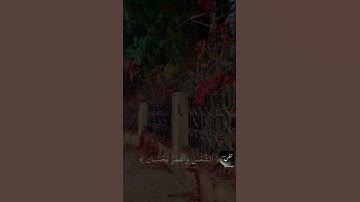 أقدار الله كلها خير ولو احزنتك🤍🖤 القارئ حسام الدين عبادي