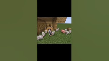 Taming a Dog In Minecraft GONE WRONG #2024 #shorts