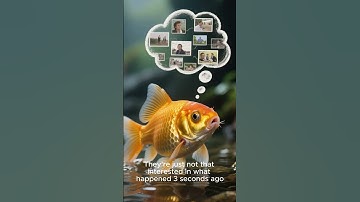 🐟 Do Goldfish Really Have a 3-Second Memory? | Myth Busted!