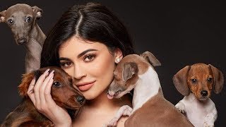 More celebrity news ►► http://bit.ly/subclevvernews before kylie
was mom to baby stormi, she a dog italian greyhounds norman and bambi.
but if you...