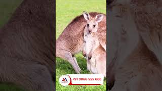 Australia News Update: Victoria Migration Alert