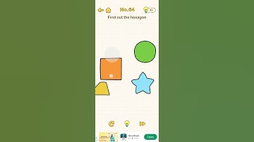 brain out level 64 Find out the hexagon