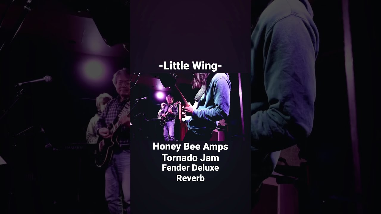 Honey Bee Amps Tornado Jam