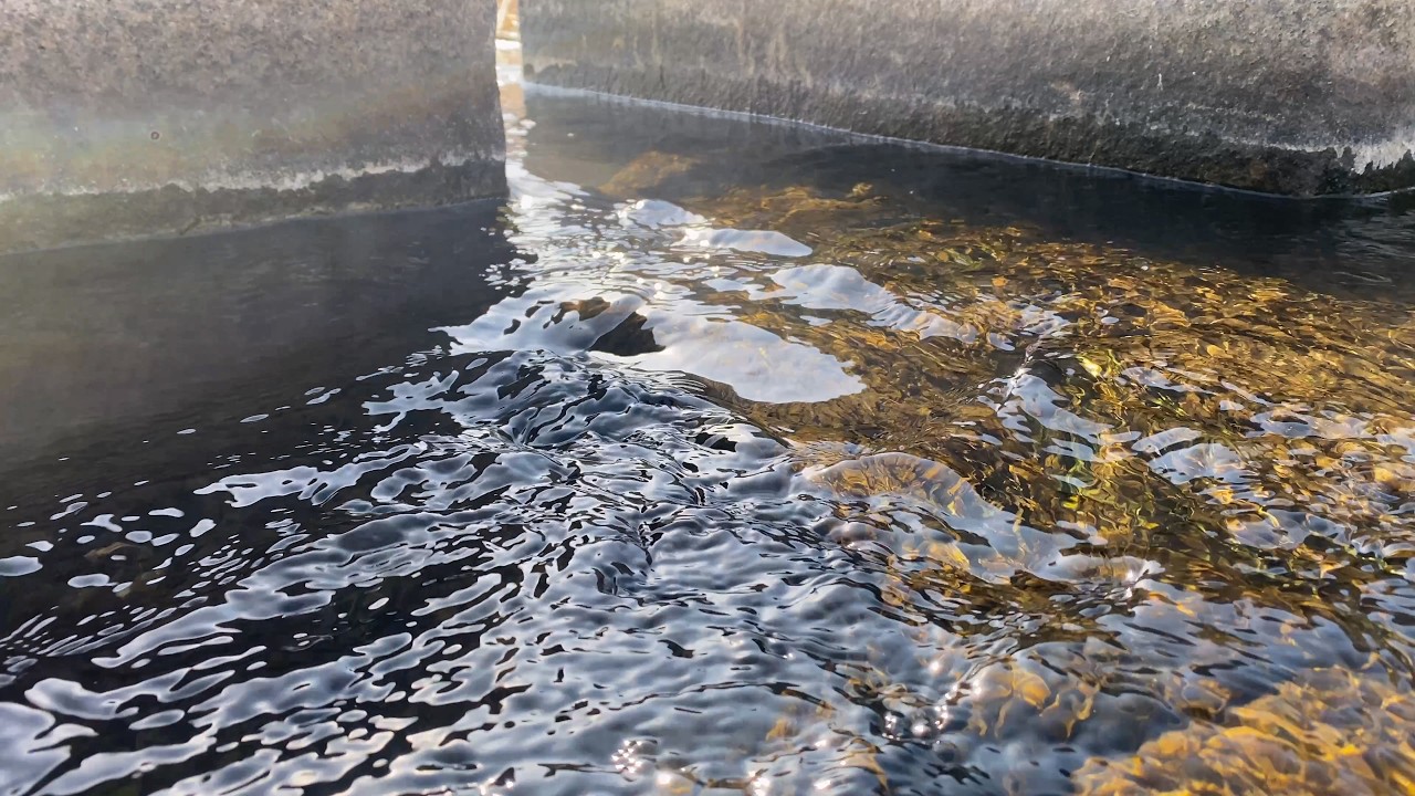 Stream Water Sounds | Sleep & Relaxation (No Talking)