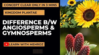 Angiosperms vs Gymnosperms | Differences & Basic concept in urdu | Quick differences in 3 minutes