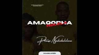 Amaqophandlela - Otakalani ft. Nsimbenjani
