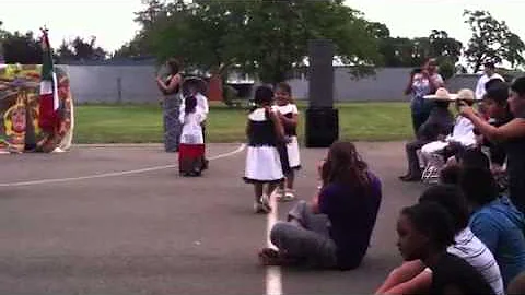 Thornton cinco de mayo
