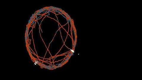 Computer Vision Adaptive Tracking of insects with yolo