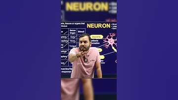 Alakh Sir Gets Angry During Live Biology Class & Challenges Bot Attackers! 😱 #PhysicsWallah #Boards