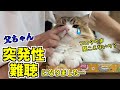 【突発性難聴】父ちゃん(猫の飼い主)が突発性難聴発症／左耳の聴力が落ちてしまいました・・・
