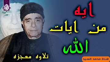 الجمال ده مش طبيعي والله   سورة الحاقه وجمال مش طبيعي 😍😍