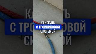 Инженерка готова ЖИТЬ