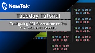 Configuring NC1IO Studio IO Module SDI Connectors